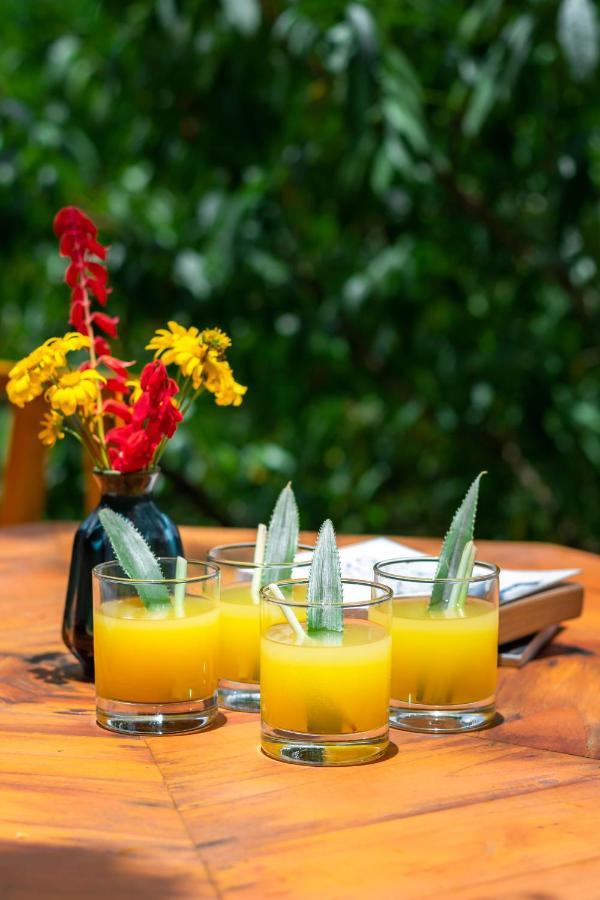 Sapa Riverside Ecolodge & Spa 외부 사진