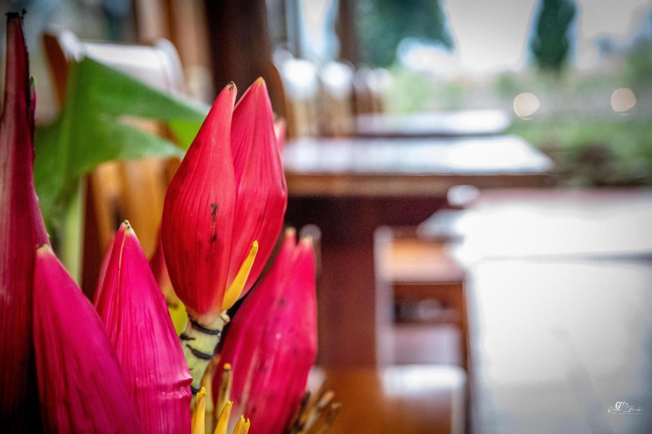 Sapa Riverside Ecolodge & Spa 외부 사진