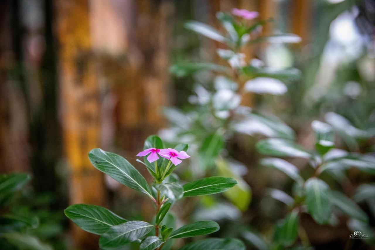 Sapa Riverside Ecolodge & Spa 외부 사진
